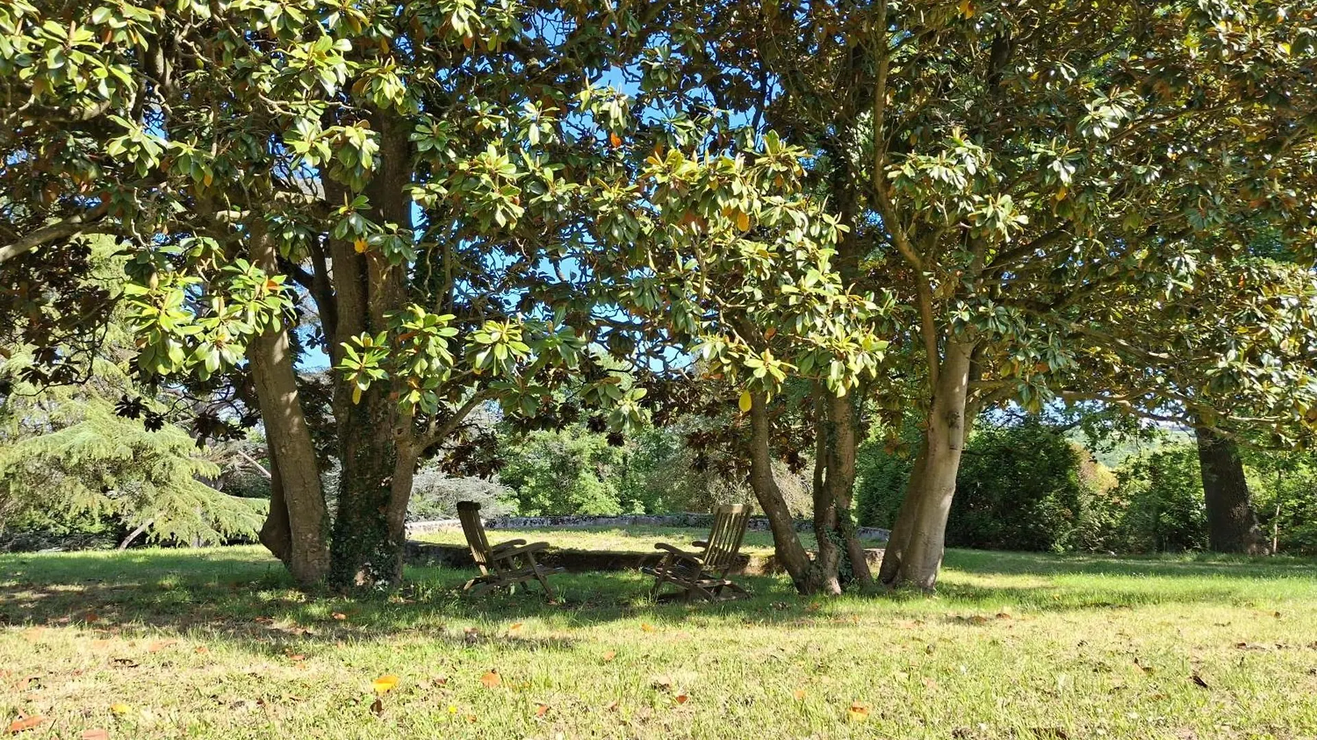 Le Domaine Des Buis Hotel Albon